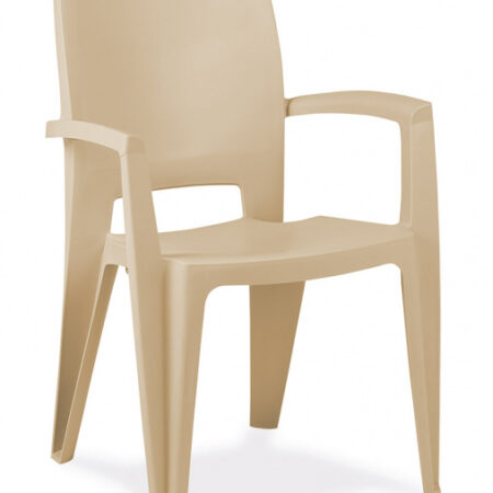 SILLON AMY