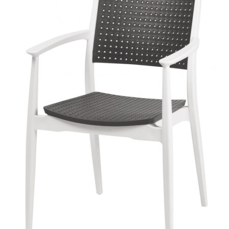 SILLON SEGIN