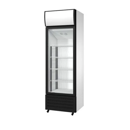 armario-expositor-refrigerado-1-puerta-lc-300-1 copia